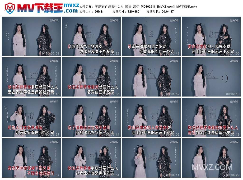 李莎旻子-想要什么人_国语_流行_MD302911